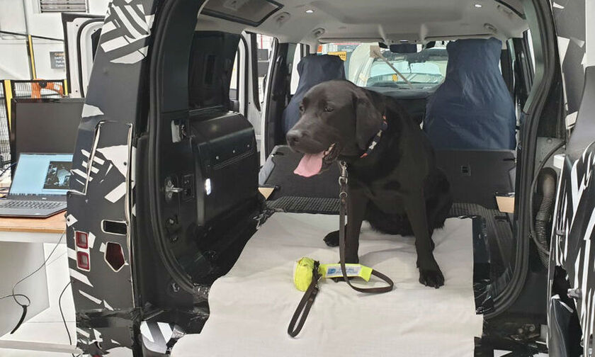 H απίστευτη δοκιμή αντοχής της Land Rover με τη βοήθεια σκύλου! (pics)