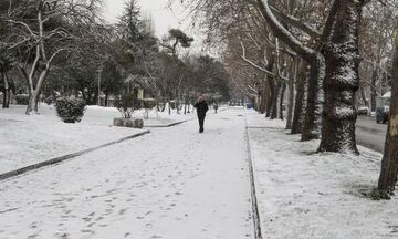 Κακοκαιρία «Ζηνοβία»: Σε ποιες περιοχές και πότε αναμένονται πυκνές χιονοπτώσεις