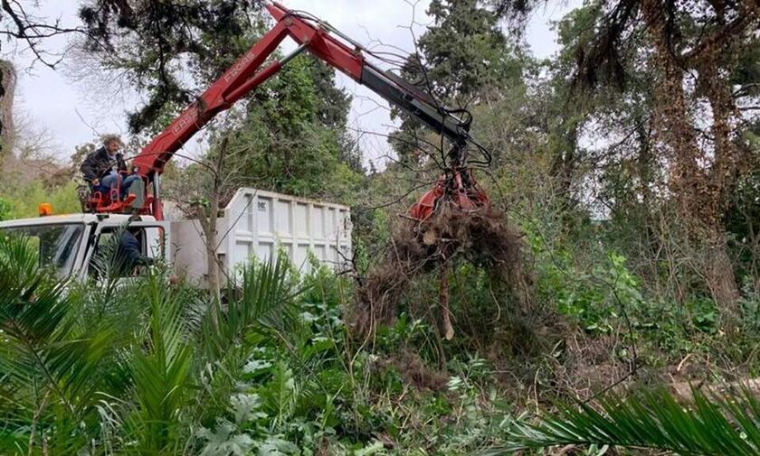 Ξεκίνησε η ανάπλαση του ιστορικού Βοτανικού Κήπου στην Ιερά Οδό! (pics)