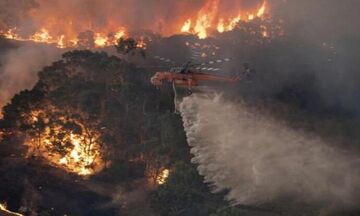 Αυστραλία: Οι πυρκαγιές κατέστρεψαν το 20% των δασών όλης της χώρας!
