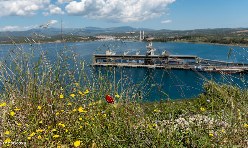 Το διαφορετικό καλοκαίρι μας…