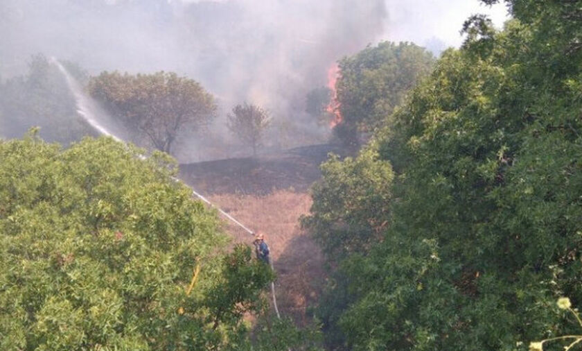 Χίος: Μεγάλη πυρκαγιά, εκκενώνονται 2 χωριά - Καίει έκταση με ελιές κοντά στη ΒΙΑΛ (vid)