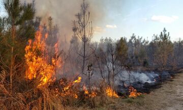 Υψηλός κίνδυνος για πυρκαγιά  - Ποιες περιοχές κινδυνεύουν (χάρτης)