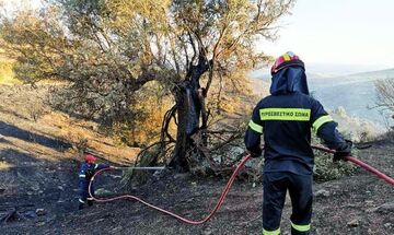 Μία σύλληψη για τη φωτιά στο Πέραμα