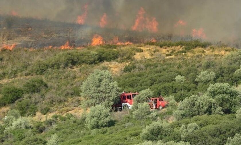 Πυρκαγιά στο Πόρτο Γερμενό