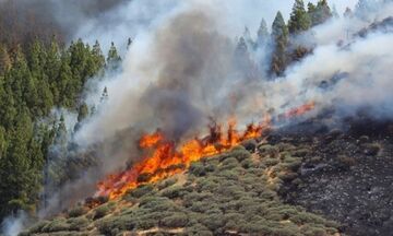 Ελλάδα: Πολύ υψηλός ο κίνδυνος πυρκαγιάς στις 30/7 σε τέσσερις περιφέρειες