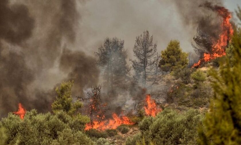Επίδαυρος: Μεγάλη φωτιά σε δασική έκταση