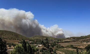 Φωτιές στην Αττική: Δύσκολη κατάσταση στη Ν. Μάκρη. Εκκενώθηκαν οικισμός και οικοτροφείο στα Καλύβια