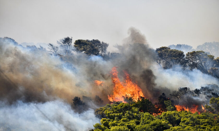 Ανεξέλεγκτη φωτιά στα Καλύβια, εκκενώνονται Ανάβυσσος, Π. Φώκαια, Δροσιά, Αγιασμόθι (vids)