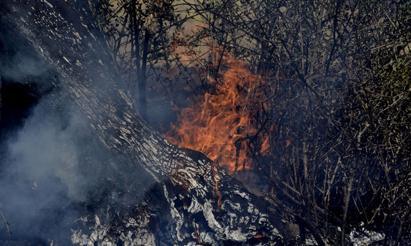 Ανεξέλεγκτη η πυρκαγιά στη Ζάκυνθο, εξετάζεται η εκκένωση οικισμού