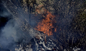 Ανεξέλεγκτη η πυρκαγιά στη Ζάκυνθο, εξετάζεται η εκκένωση οικισμού