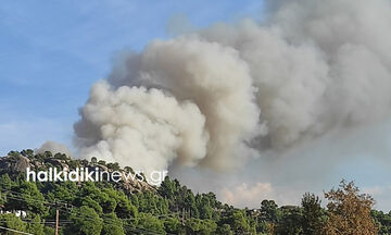 Πυρκαγιά μαίνεται στην Σιθωνία της Χαλκιδικής (vid/pic)