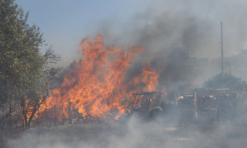 Πυρκαγιά σε δασική έκταση του δήμου Λουτρακίου - Αγίων Θεοδώρων