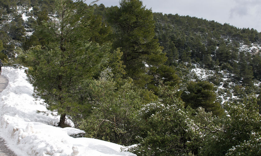 Καιρός: Έρχεται ο χειμώνας, χιόνια και στην Πάρνηθα (vid)