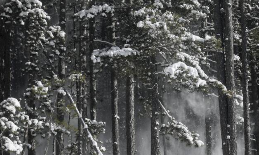 Χιονίζει στα ορεινά των Τρικάλων - Προβλήματα στην κίνηση των οχημάτων (vid)