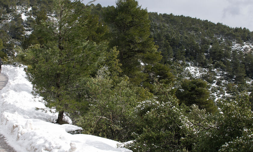 Καιρός: Παγετός, χιονόνερο, παροδικές χιονοπτώσεις