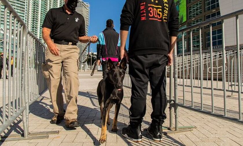 Μαϊάμι Χιτ: Επιστρατεύουν σκύλους για να… ανιχνεύσουν τον κορονοϊό στους φιλάθλους