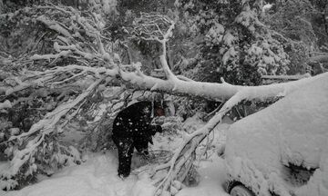  ΔΕΗ: Σκέφτεται δωρεάν τέλη σε όσα νοικοκυριά έμειναν χωρίς ρεύμα