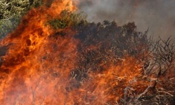 Ηλεία: Φωτιά σε δασική έκταση στην περιοχή Σμέρνα
