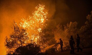 Φωτιά στον Σχίνο Κορινθίας – Εκκενώνονται οικισμοί (vid)