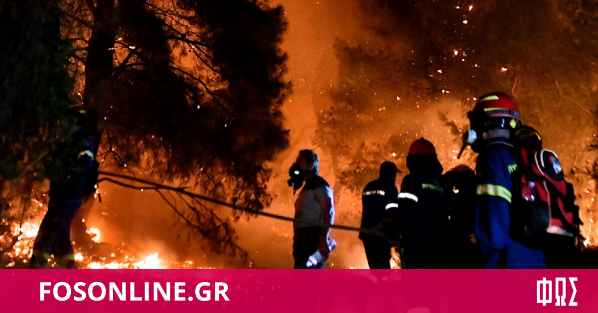 Φωτιά στον Σχίνο Κορινθίας: Τι οδήγησε στην καταστροφική πυρκαγιά
