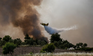 Γεράνεια Όρη: Εικόνα ύφεσης παρουσιάζει η πυρκαγιά σύμφωνα με τον αρχηγό της Πυροσβεστικής