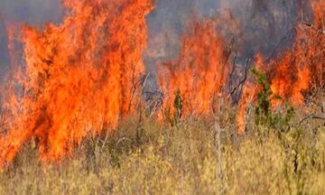 Δύο πυρκαγιές σε εξέλιξη σε Αρκαδία και Λακωνία