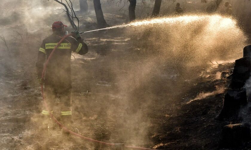 Αίγινα: Φωτιά στα Βροχεία - Μεταβαίνουν ακτοπλοϊκώς από τον Πειραιά ενισχύσεις