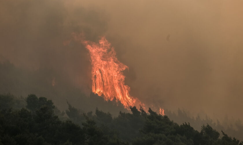 Πυρκαγιά σε δασική περιοχή στα Μέγαρα 