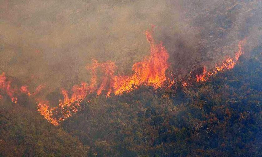 Βραυρώνα Αττικής: Φωτιά σε δασική έκταση (pic)