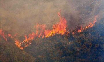 Κεφαλονιά: Μεγάλη φωτιά - Εκκενώνεται το Καπανδρίτι, ενισχύονται οι πυροσβεστικές δυνάμεις