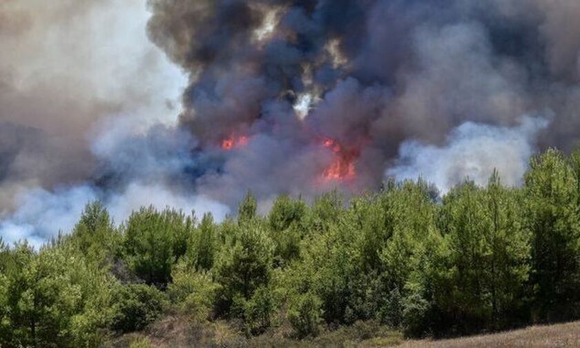 Ριτσώνα: Μάχη Πυροσβεστών με τις φλόγες - Εισήγηση για εκκένωση σπιτιών στα Μέθανα