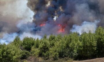 Πυρκαγιά ξέσπασε στην Πάρνηθα λόγω κεραυνών