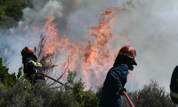 Κεφαλονιά: 6.000 στρέμματα κάηκαν, σύμφωνα με εικόνες ευρωπαϊκού περιβαλλοντικού δορυφόρου (pic)