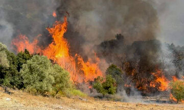 Πυρκαγιά στη Χίο - Εκκενώθηκε οικισμός 