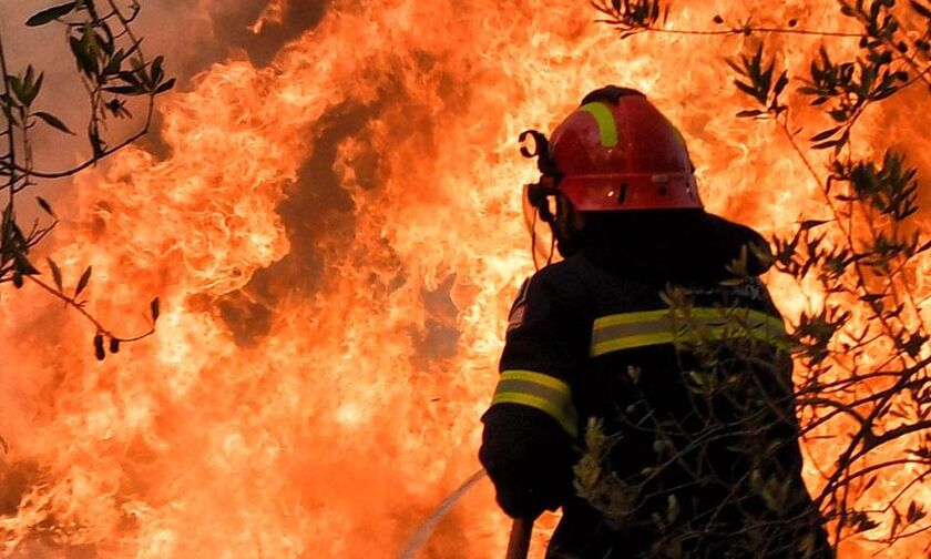 Ελευσίνα: Πυρκαγιά στο Πάτημα