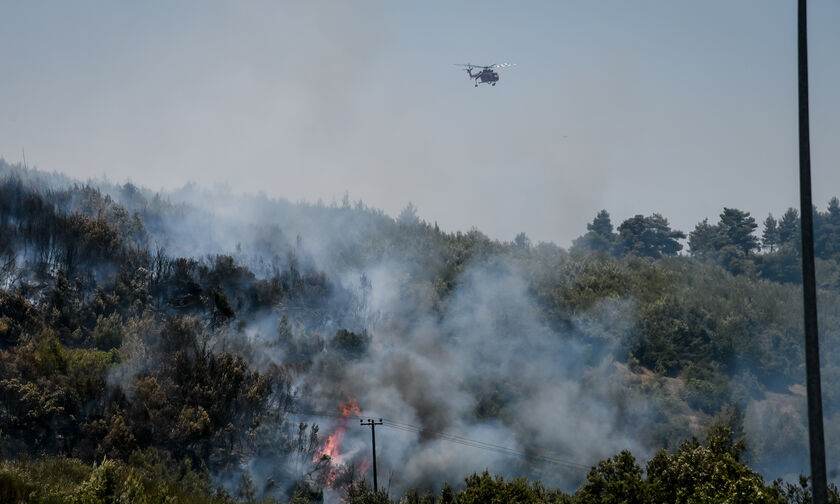 Φωτιά στα Στύρα Ευβοίας - Εκκενώθηκε το Νημποριό