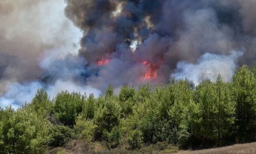 Φωτιά στην Εύβοια: Μήνυμα του 112 με εντολή εκκένωσης για το Νημποριό (pic)