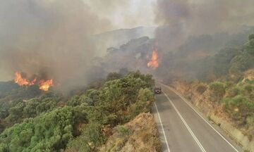 Πανόραμα Βούλας: Πυρκαγιά στην περιοχή