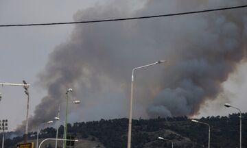 Σέιχ-Σου: Μεγάλη φωτιά, επιχειρούν τρία αεροσκάφη και δύο ελικόπτερα, εκκενώθηκε ξενοδοχείο