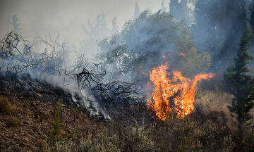 Δροσιά: Βελτιωμένη η εικόνα της πυρκαγιάς - Οριοθετημένη η φωτιά στην Ελεκίστρα