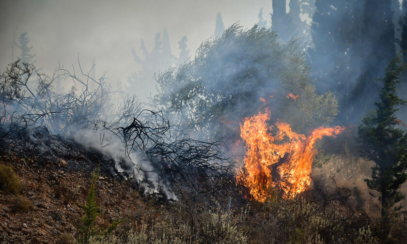 Θύριο Αιτωλοακαρνανίας: Βελτίωση παρουσιάζει η εικόνα της πυρκαγιάς, σύμφωνα με την Πυροσβεστική 