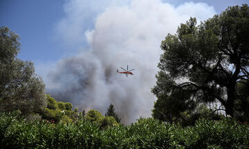Πυρκαγιά στη Βαρυμπόμπη: Διακοπές ρεύματος και μήνυμα στους κατοίκους από το 112