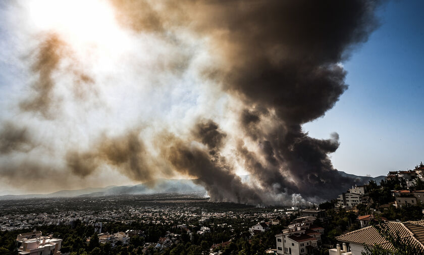 Πυρκαγιά στη Βαρυμπόμπη: Εκκλήσεις για φορτηγά ώστε να σωθούν άλογα - Μεταφέρθηκαν περίπου 300 (vid)