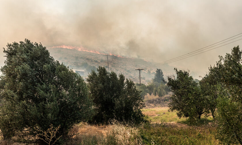 Εύβοια: Τέσσερα τα πύρινα μέτωπα - Καθηλωμένα τα εναέρια μέσα