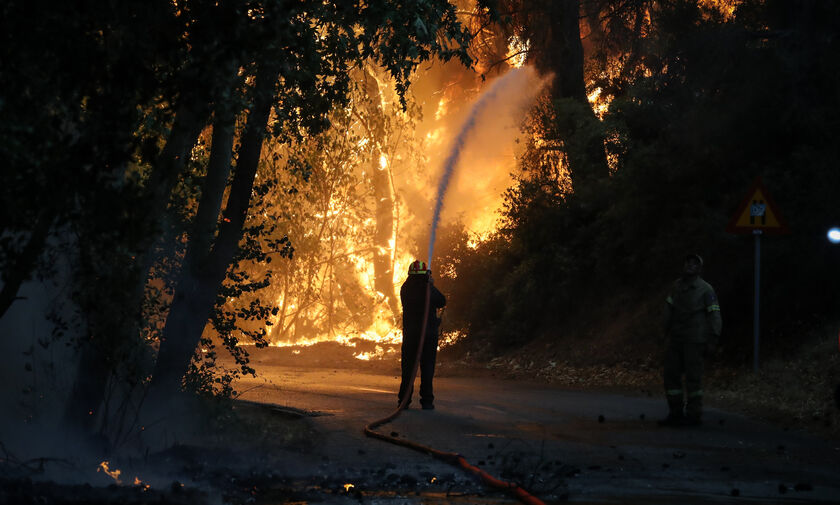 Βαρυμπόμπη: Ολοκληρώθηκε η μεταφορά αλόγων που κινδύνευσαν στην πυρκαγιά
