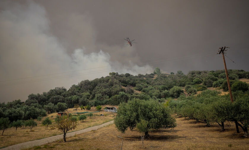 Εύβοια: Εκκενώνεται το χωριό Κεχριές εξαιτίας της πυρκαγιάς 