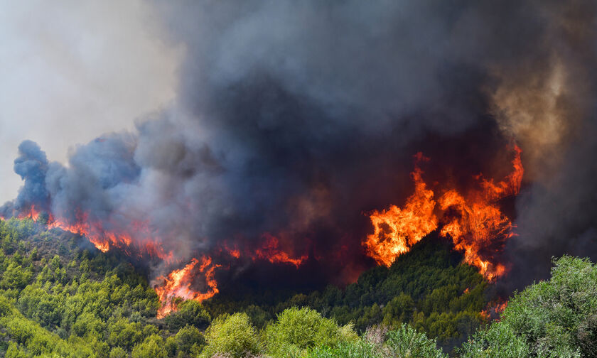 Πολύ υψηλός κίνδυνος πυρκαγιάς σε περιοχές της Μακεδονίας και της Θράκης