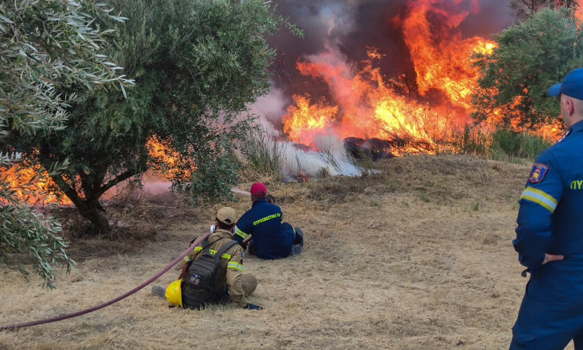 Ηλεία: Σεισμός 4 Ρίχτερ μετά την πυρκαγιά - Στις πληγείσες περιοχές ο Πρωθυπουργός