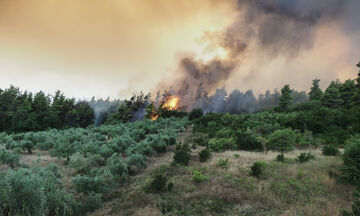 Βόρεια Εύβοια: Τρία τα μέτωπα της πυρκαγιάς - «Τιτάνια» η μάχη των πυροσβεστών